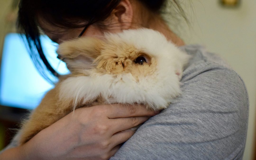 A woman hugging her rabbit, showing us the love and joy that comes with adopting shelter pets.