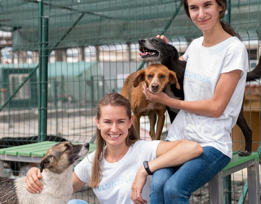 choose the perfect rescue animal to ensure a healthy human-pet connection